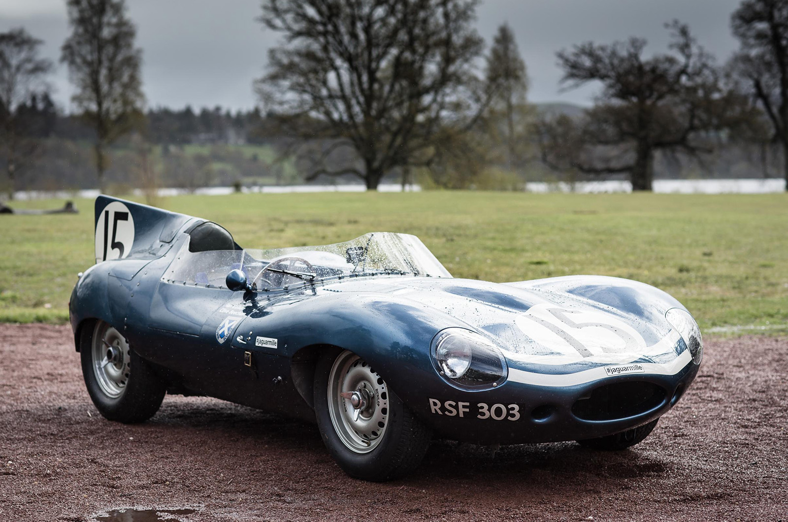 Jaguar d type rsf303